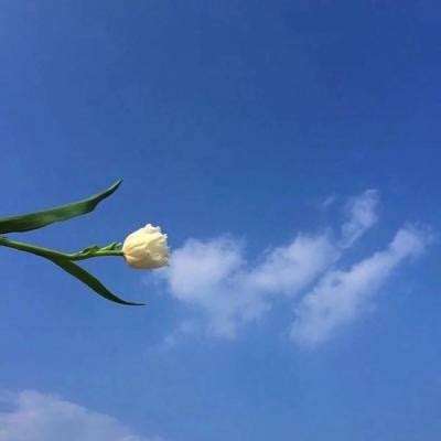 我师兄是剑仙官方下载